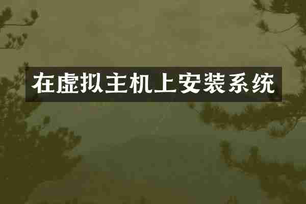 在虚拟主机上安装系统