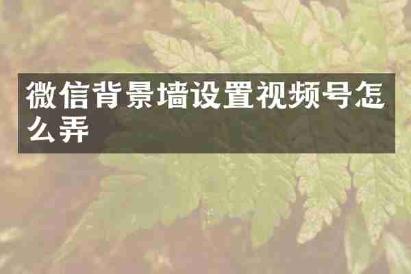 微信背景墙设置视频号怎么弄