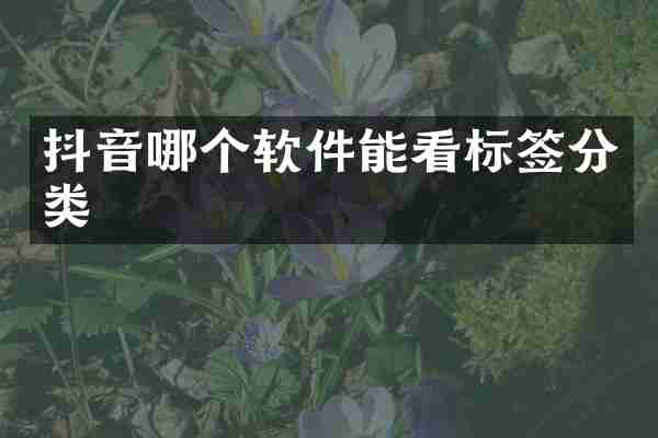 抖音哪个软件能看标签分类