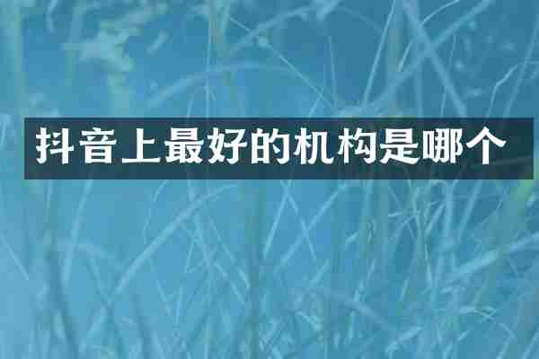 抖音上最好的机构是哪个