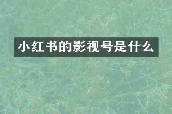 小红书的影视号是什么