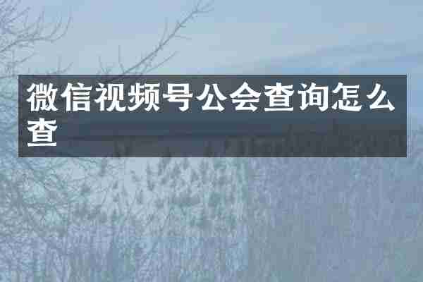 微信视频号公会查询怎么查