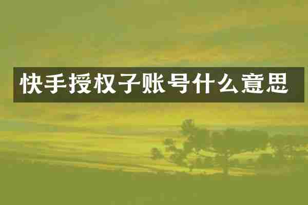快手授权子账号什么意思