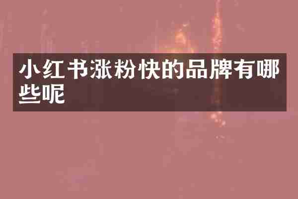 小红书涨粉快的品牌有哪些呢