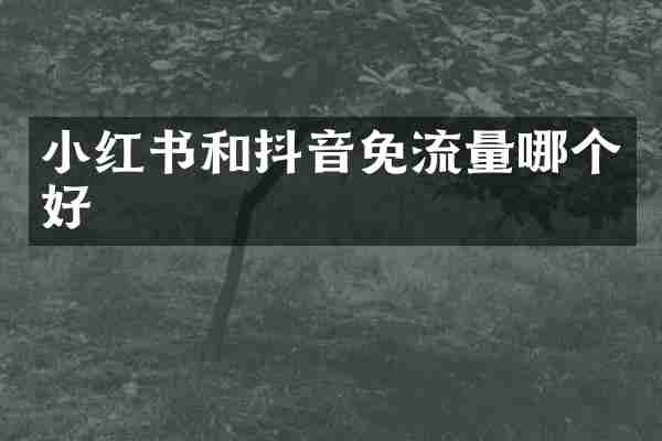 小红书和抖音免流量哪个好