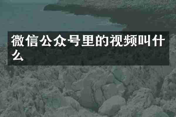 微信公众号里的视频叫什么