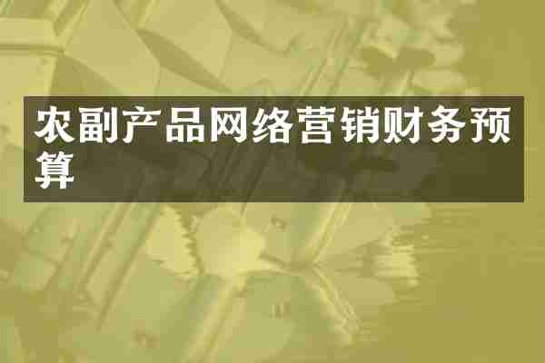 农副产品网络营销财务预算