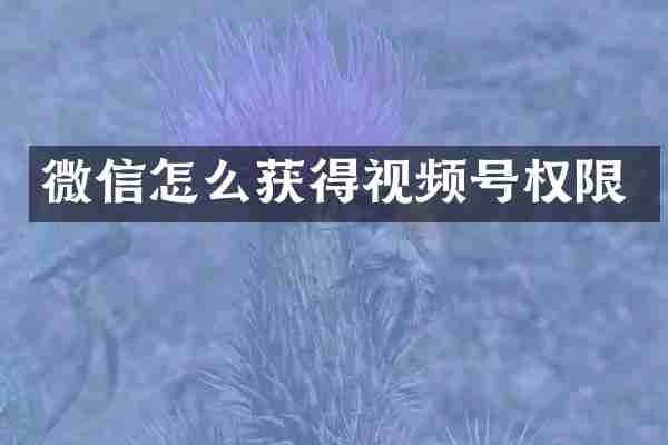 微信怎么获得视频号权限
