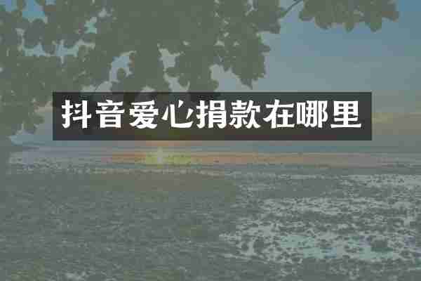 抖音爱心捐款在哪里