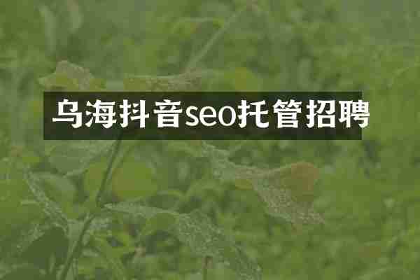 乌海抖音seo托管招聘