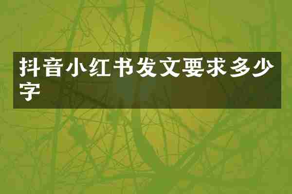 抖音小红书发文要求多少字