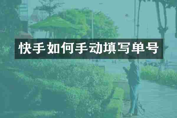 快手如何手动填写单号
