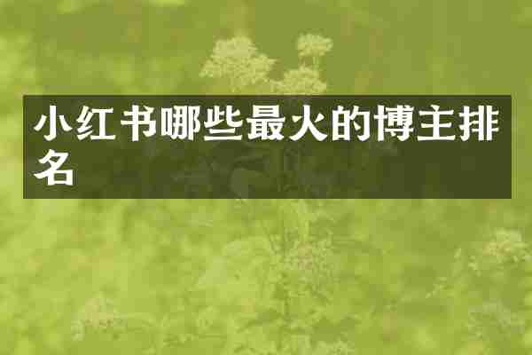 小红书哪些最火的博主排名