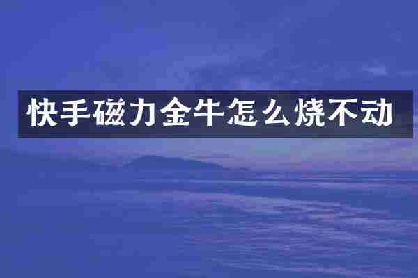 快手磁力金牛怎么烧不动