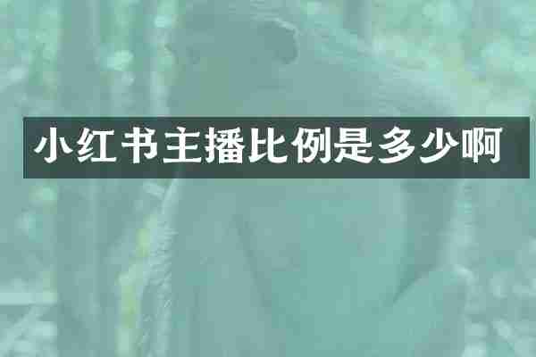 小红书主播比例是多少啊