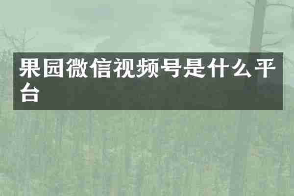 果园微信视频号是什么平台
