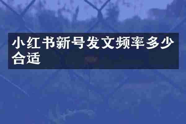 小红书新号发文频率多少合适