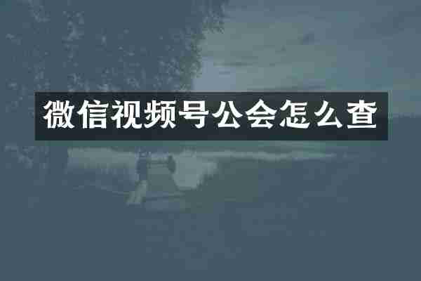 微信视频号公会怎么查