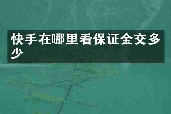 快手在哪里看保证金交多少