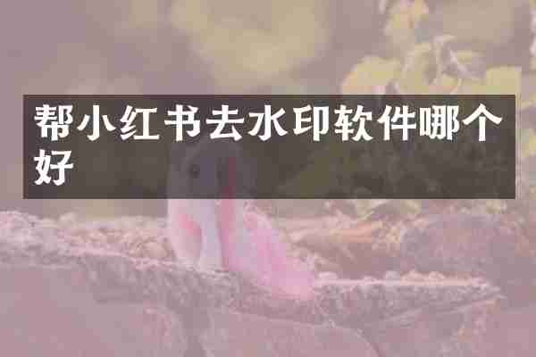 帮小红书去水印软件哪个好