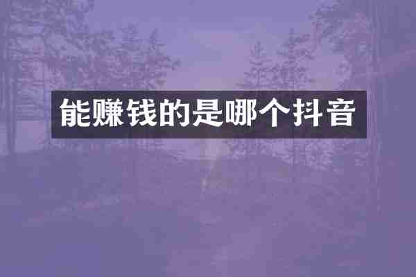 能赚钱的是哪个抖音