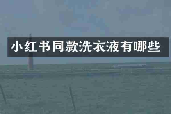 小红书同款洗衣液有哪些