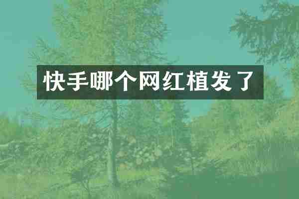 快手哪个网红植发了