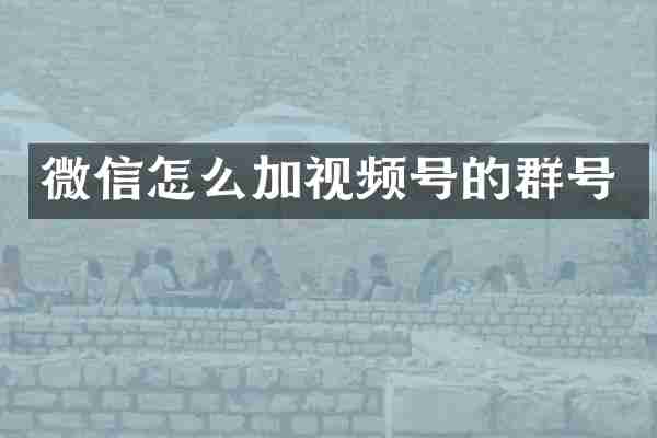 微信怎么加视频号的群号