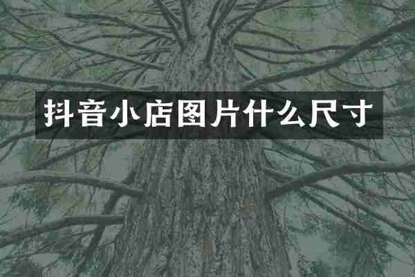 抖音小店图片什么尺寸