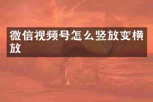 微信视频号怎么竖放变横放