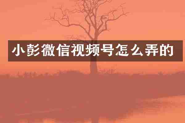 小彭微信视频号怎么弄的
