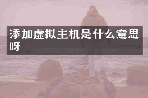添加虚拟主机是什么意思呀
