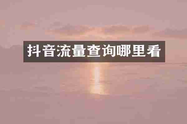抖音流量查询哪里看
