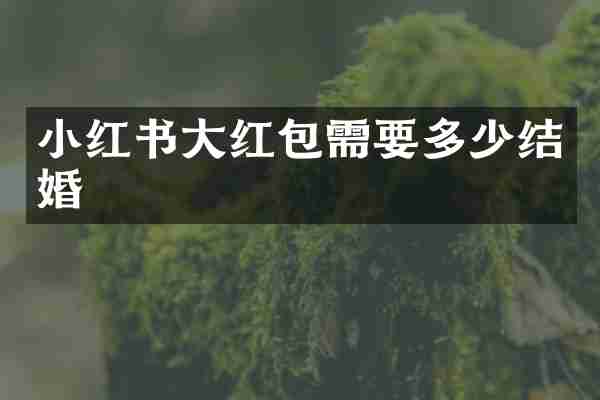 小红书大红包需要多少结婚