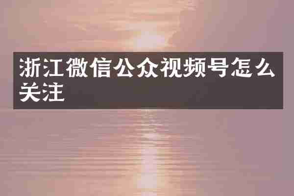 浙江微信公众视频号怎么关注