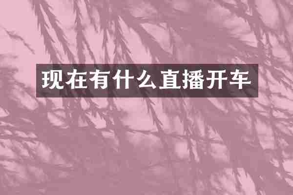 现在有什么直播开车