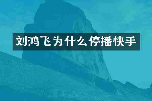 刘鸿飞为什么停播快手
