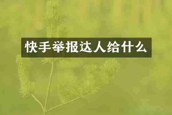 快手举报达人给什么