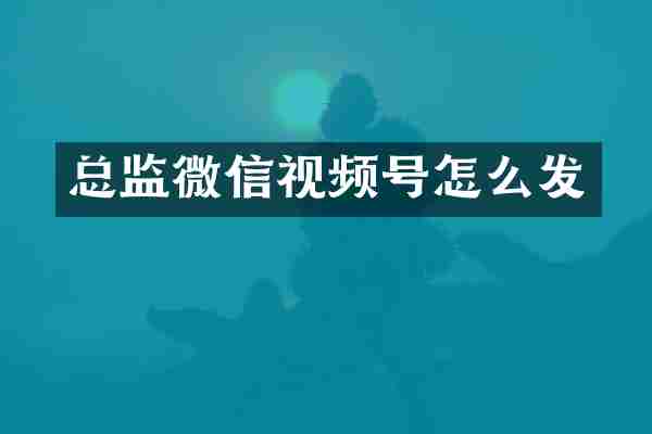 总监微信视频号怎么发