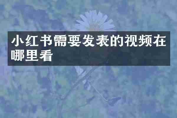 小红书需要发表的视频在哪里看