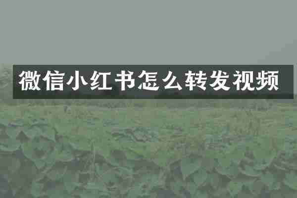 微信小红书怎么转发视频