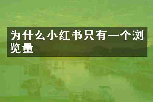 为什么小红书只有一个浏览量