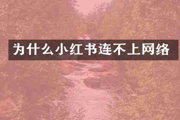 为什么小红书连不上网络