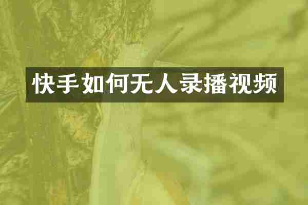 快手如何无人录播视频