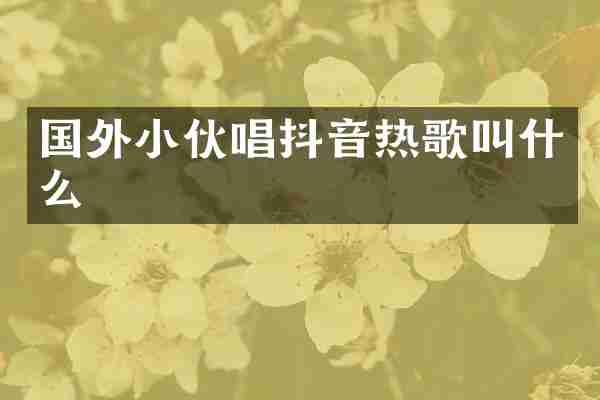 国外小伙唱抖音热歌叫什么
