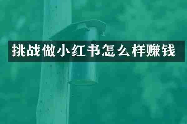 挑战做小红书怎么样赚钱