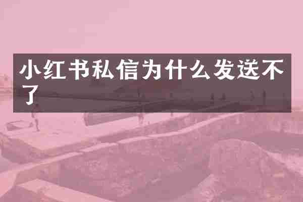 小红书私信为什么发送不了