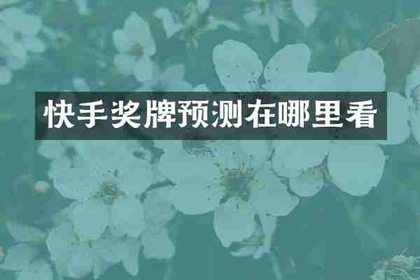 快手奖牌预测在哪里看