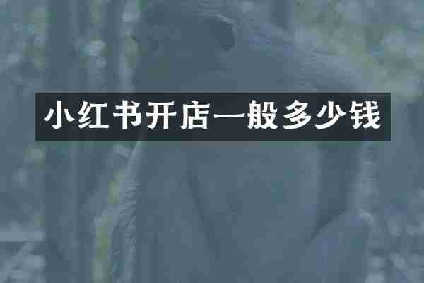 小红书开店一般多少钱