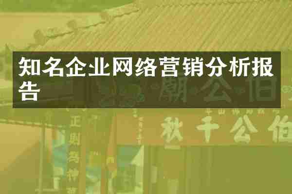 知名企业网络营销分析报告
